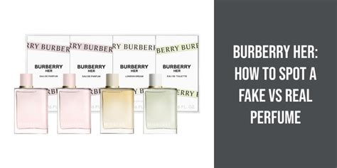 burberry vs bvlgari perfume